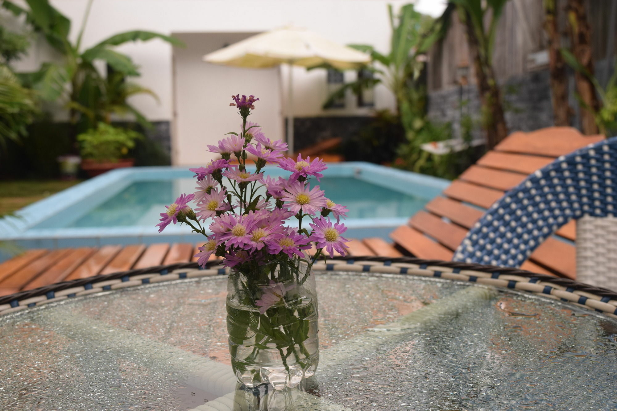 Orchid Guesthouse Που Κουόκ Εξωτερικό φωτογραφία